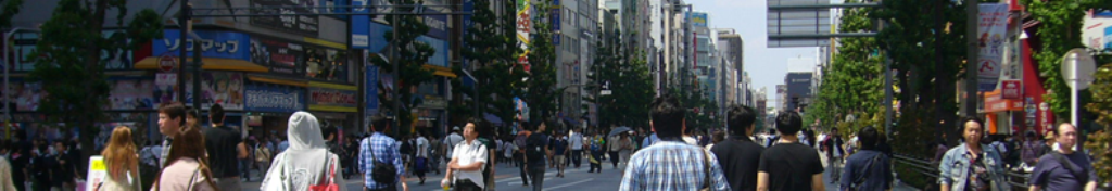 プリザーブドフラワーに目が離せない！！