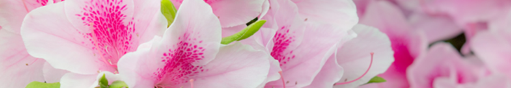 洗剤、かなり気になります。